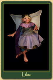 Lilac the Pillywiggen